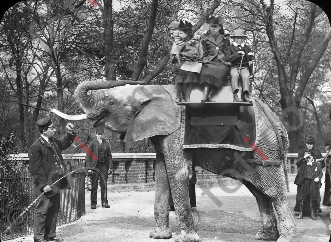 Auf einem Elefanten | On an elephant - Foto foticon-simon-167-015-sw.jpg | foticon.de - Bilddatenbank für Motive aus Geschichte und Kultur
